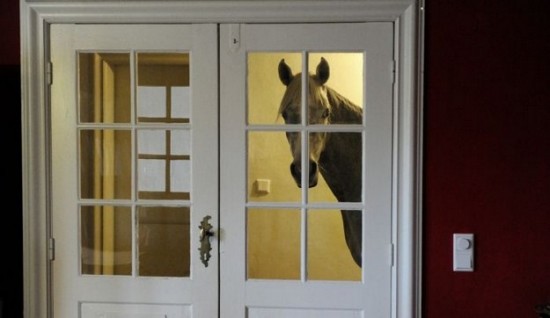 A Horse Sheltered From Storms in the Owner’s House 007