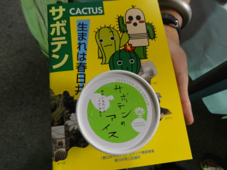 Cactus Ice Cream