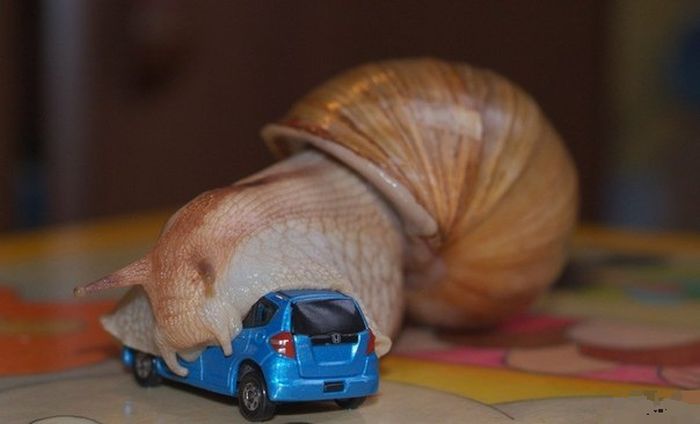 February 23rd Picdump 017