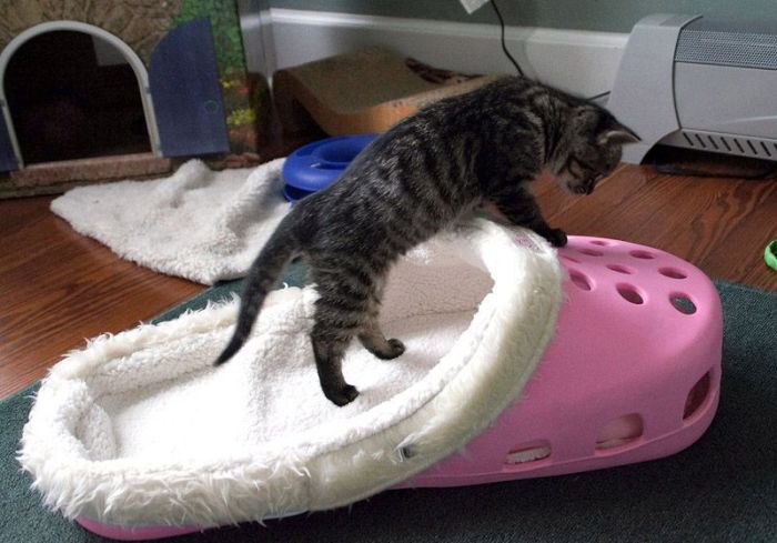 February 23rd Picdump 018