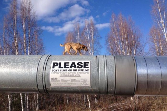 February 23rd Picdump 025