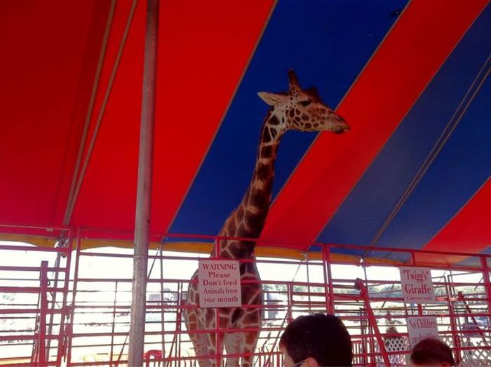 February 23rd Picdump 029