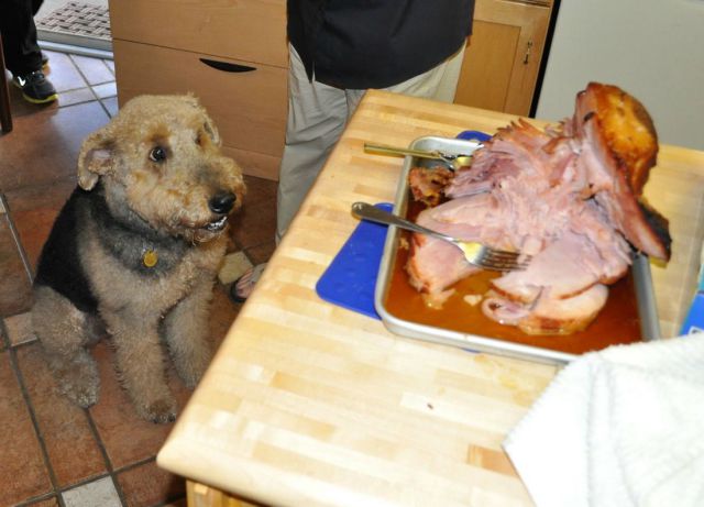 February 3rd Picdump 014