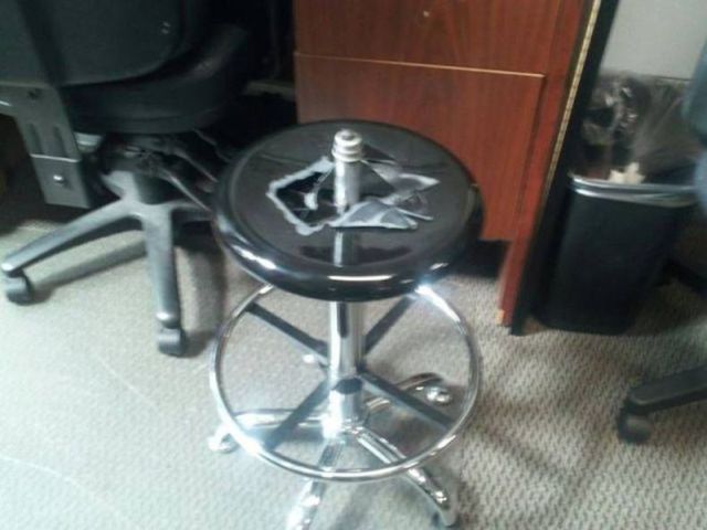 PUBLISHED by catsmob.com