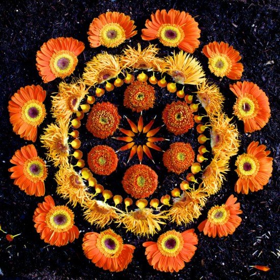 Flower Mandalas by Kathy Klein 001