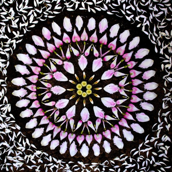 Flower Mandalas by Kathy Klein 003