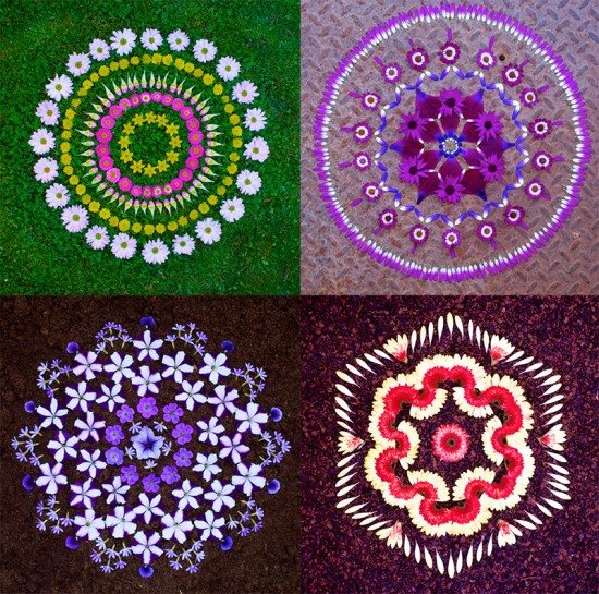 Flower Mandalas by Kathy Klein 004