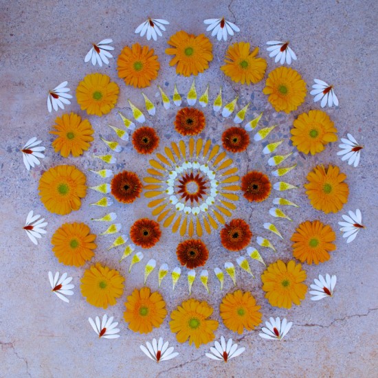 Flower Mandalas by Kathy Klein 005