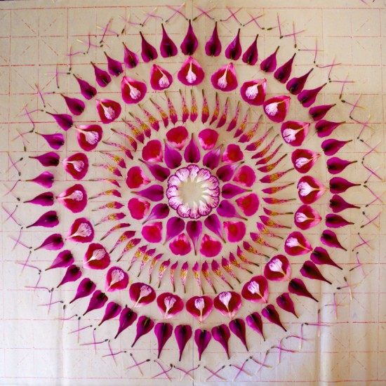 Flower Mandalas by Kathy Klein 009