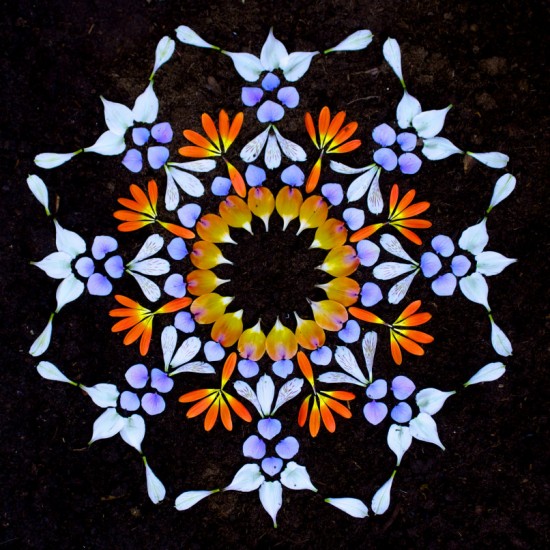 Flower Mandalas by Kathy Klein 010