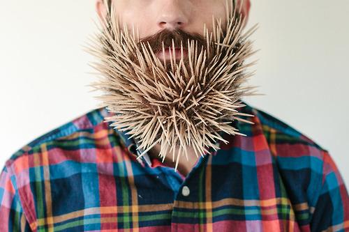 Guy Puts Stuff in His Beard and Takes Classy Photos 005