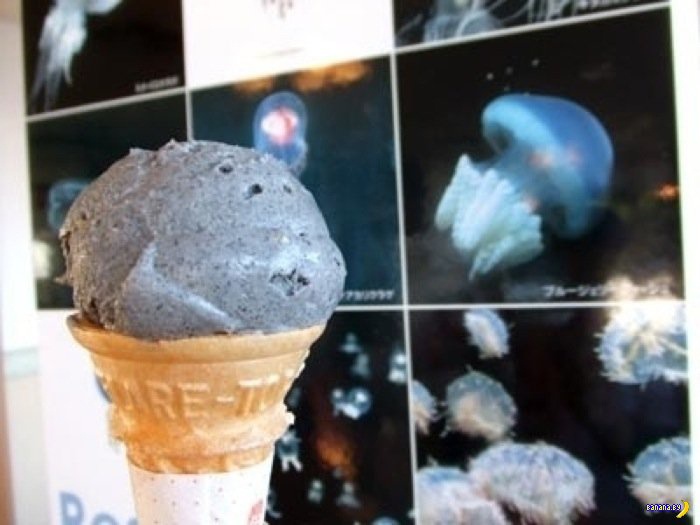 Jellyfish Taste