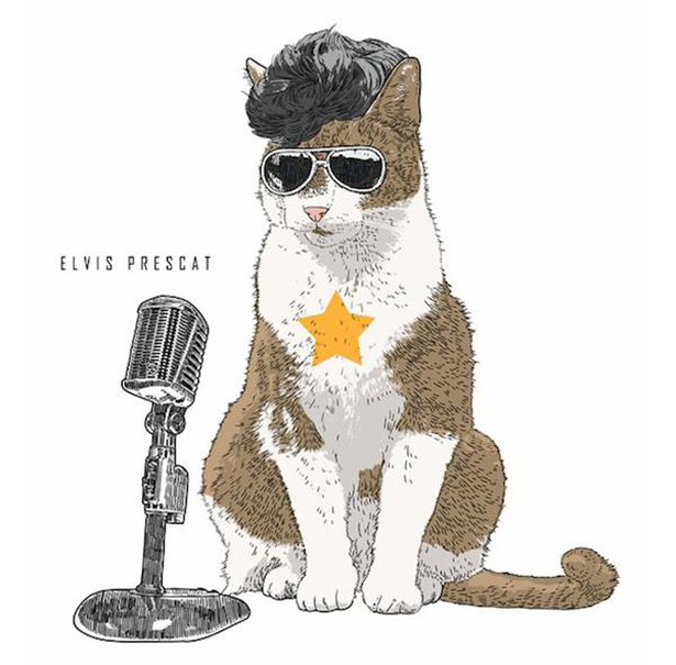 Pop Culture Icons Re-imagined as Cats 009