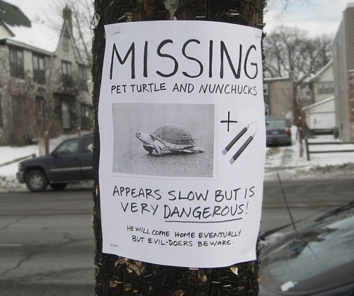 15 Hilarious Street Posters 011
