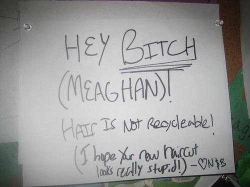 23 Angry Roommate Notes 016
