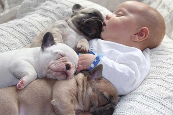 25 Babies And Dogs That Will Make Your Day 001