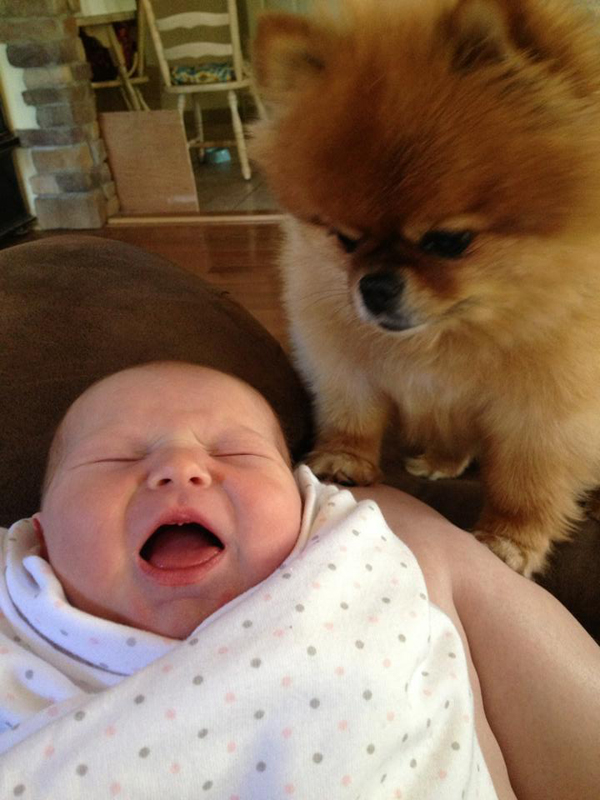 25 Babies And Dogs That Will Make Your Day 002