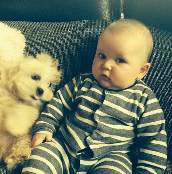 25 Babies And Dogs That Will Make Your Day 004