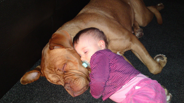 25 Babies And Dogs That Will Make Your Day 005