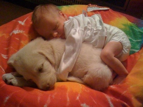 25 Babies And Dogs That Will Make Your Day 006