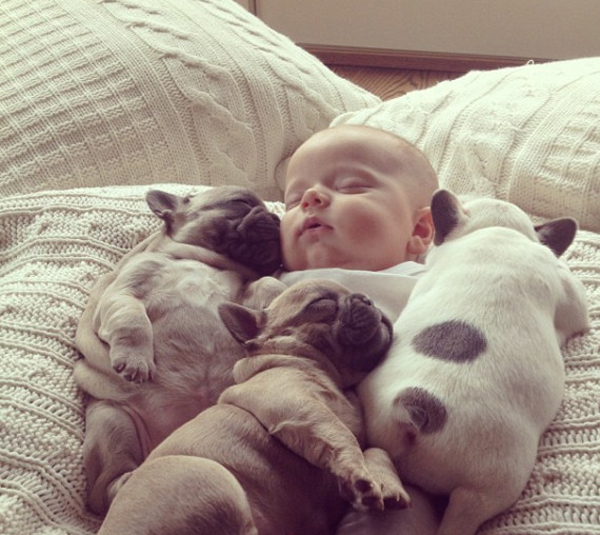 25 Babies And Dogs That Will Make Your Day 007
