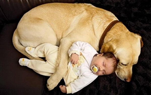 25 Babies And Dogs That Will Make Your Day 008