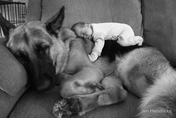 25 Babies And Dogs That Will Make Your Day 009