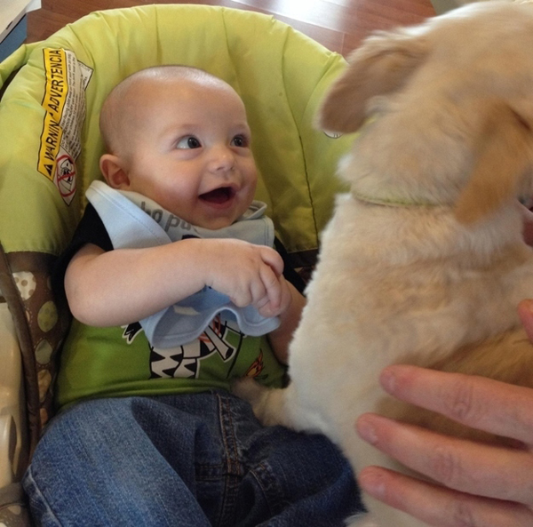 25 Babies And Dogs That Will Make Your Day 010