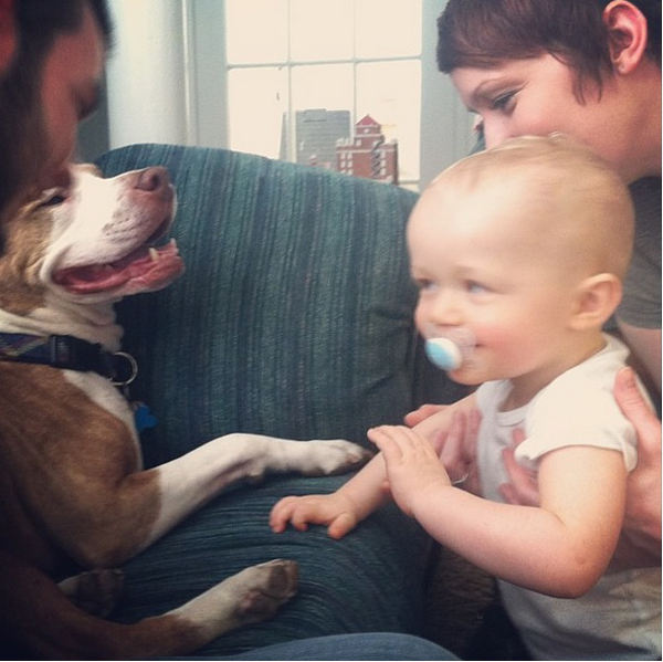 25 Babies And Dogs That Will Make Your Day 014