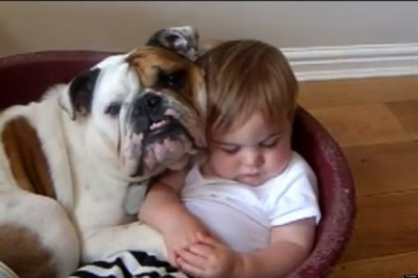 25 Babies And Dogs That Will Make Your Day 016