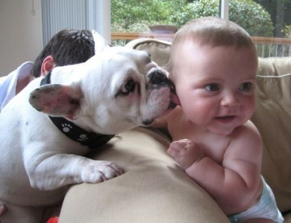 25 Babies And Dogs That Will Make Your Day 018