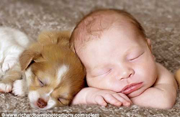 25 Babies And Dogs That Will Make Your Day 020
