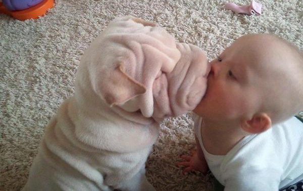 25 Babies And Dogs That Will Make Your Day 023