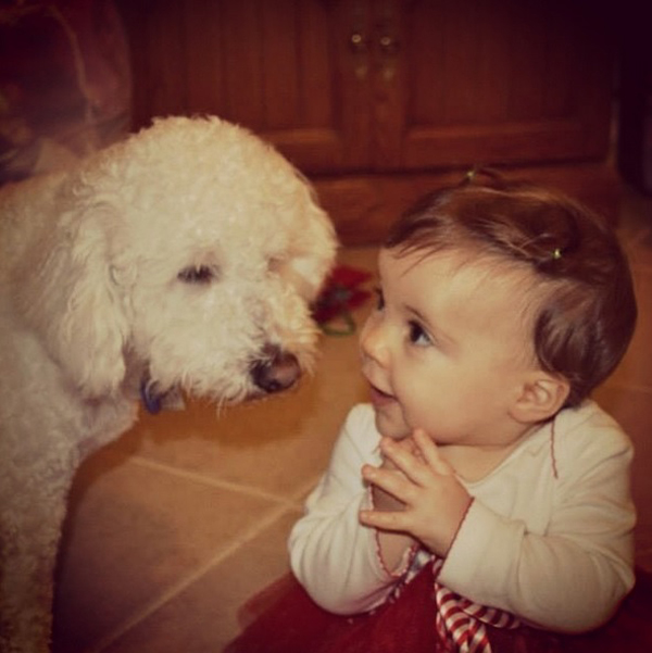 25 Babies And Dogs That Will Make Your Day 024