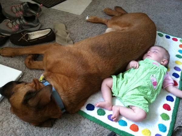 25 Babies And Dogs That Will Make Your Day 025