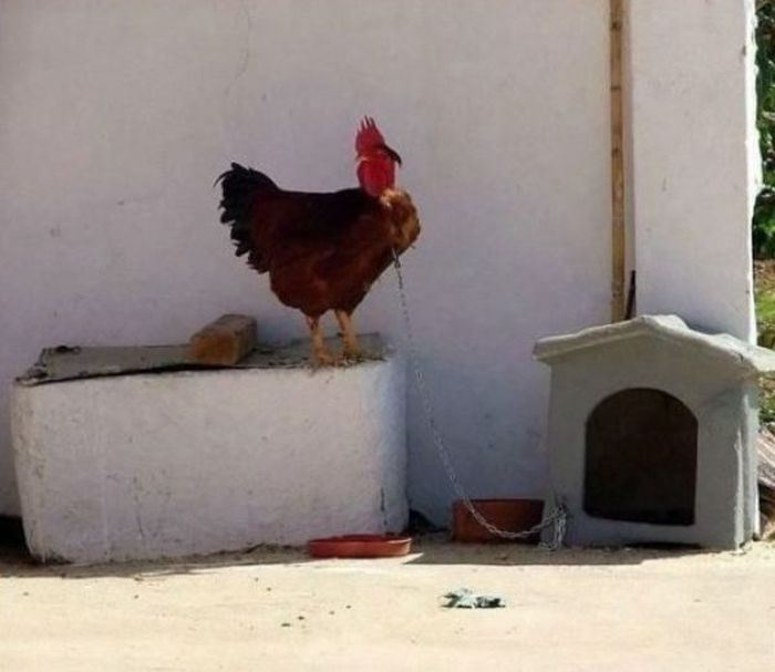 30 Fail Photos 010