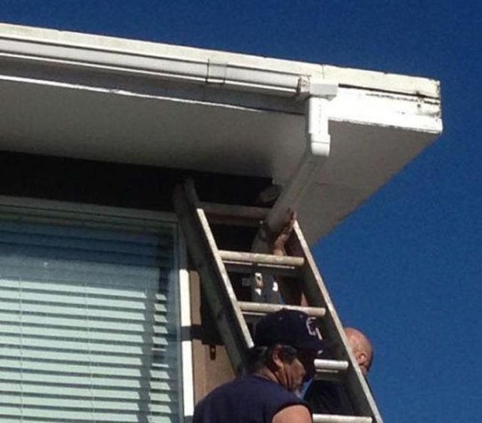 30 Fail Photos 028