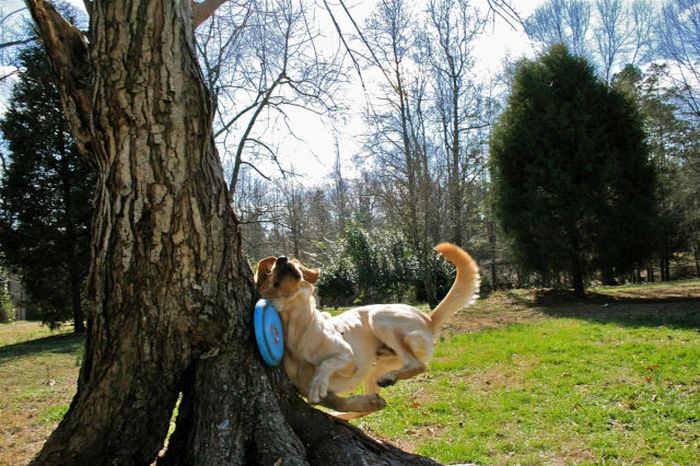 30 Fail Photos 029