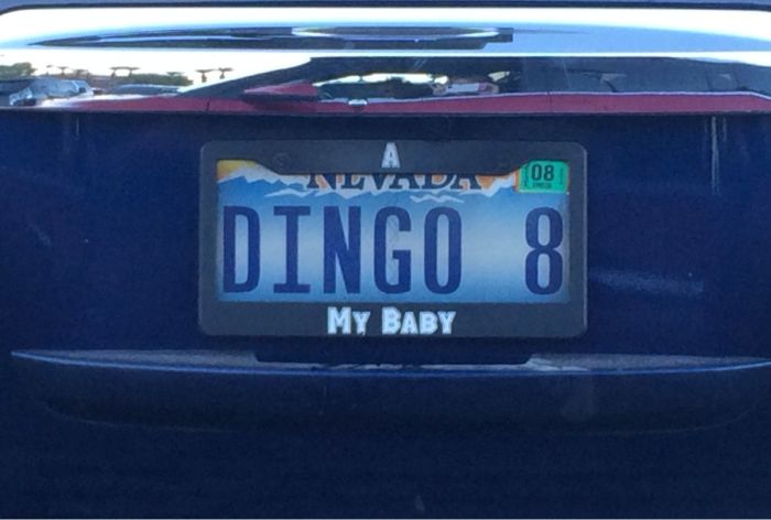 30 Funny License Plates 005