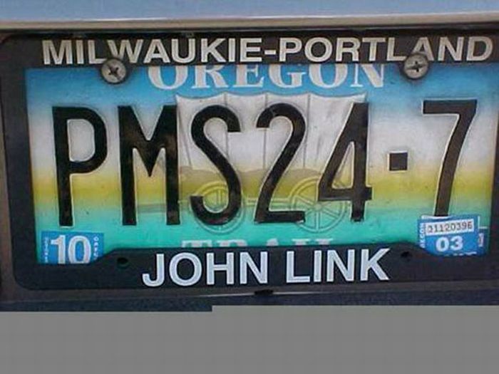 30 Funny License Plates 011