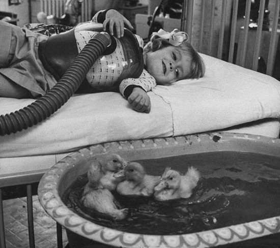 Animals being used as part of medical therapy, 1956