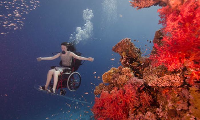 British artist Sue Austin scuba diving while sitting in a wheelchair 004