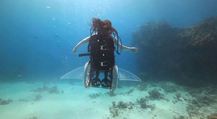 British artist Sue Austin scuba diving while sitting in a wheelchair 005