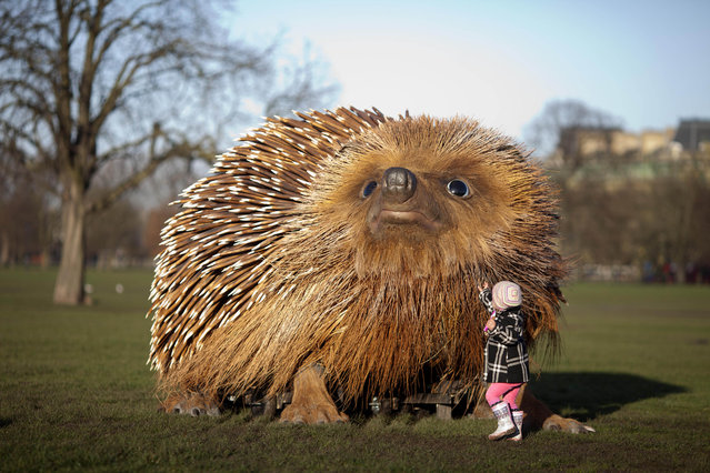 Giant Hedgehog In London 001