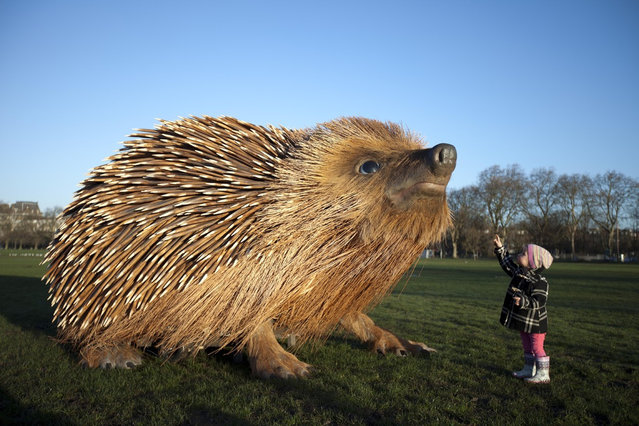 Giant Hedgehog In London 002