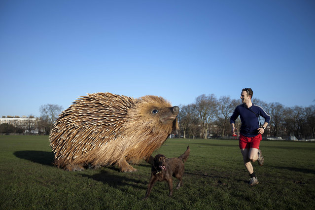 Giant Hedgehog In London 003