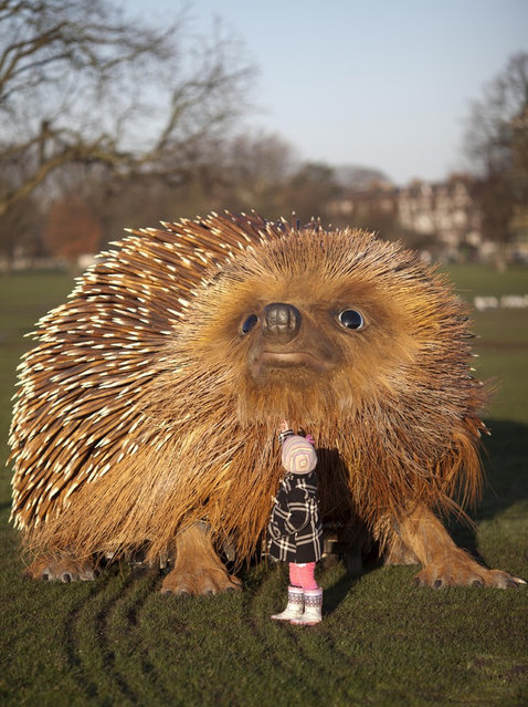 Giant Hedgehog In London 004