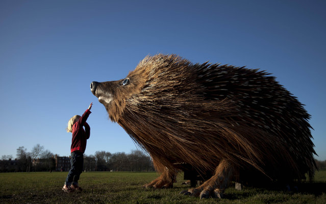 Giant Hedgehog In London 005