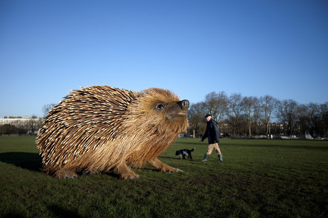 Giant Hedgehog In London 006