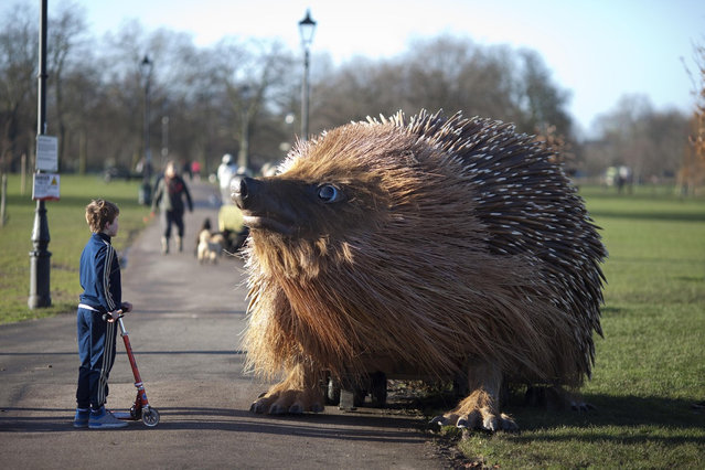 Giant Hedgehog In London 007